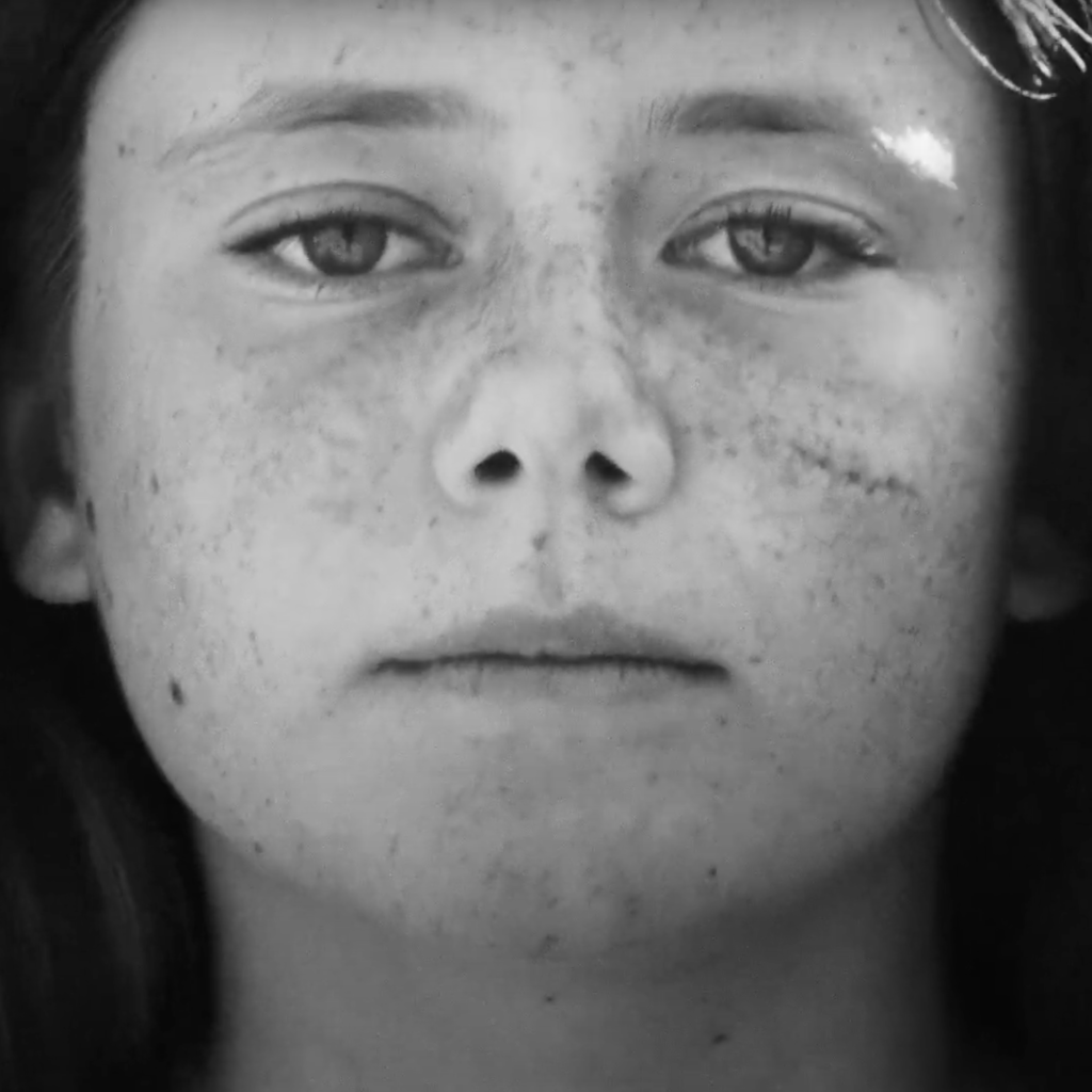 Toyota Highlander Jera Mehrdad toyota-highlander-jera-mehrdad